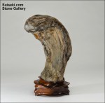 8255828867_08ed5f9b9c_b