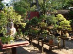 DSC00240
