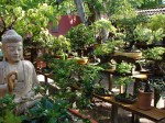 DSC00684