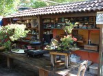 DSC00690