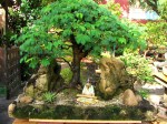 DSC00702