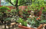 DSC04062