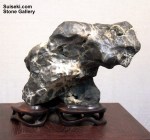 Exhibition_Suiseki_and_Shangshi_Prague_2011_2290